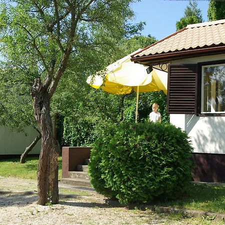 Esthajnal