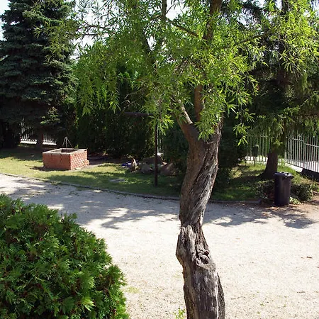 Esthajnal Ábrahámhegy